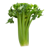 Celery Image
