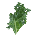Kale Image