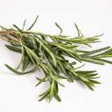 Rosemary Image