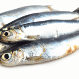 Sardines Image