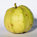 Guava Image