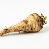 Horseradish Image