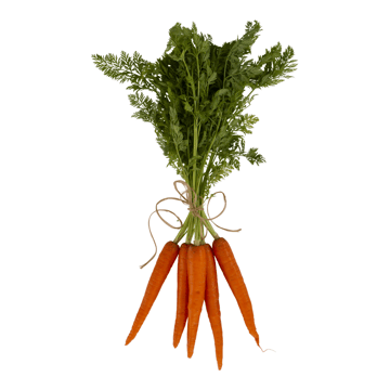 Carrots Image