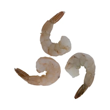 Shrimp Image
