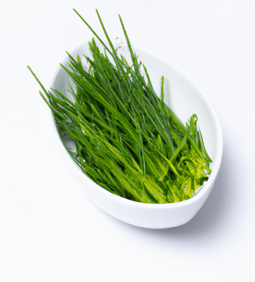 Chives Image