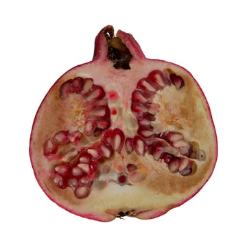 Pomegranate Image