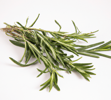 Rosemary Image