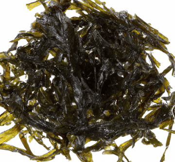 Seaweed Image