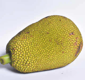 Jackfruit Image