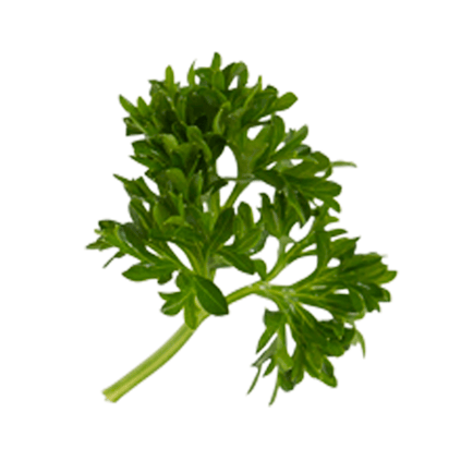 Parsley