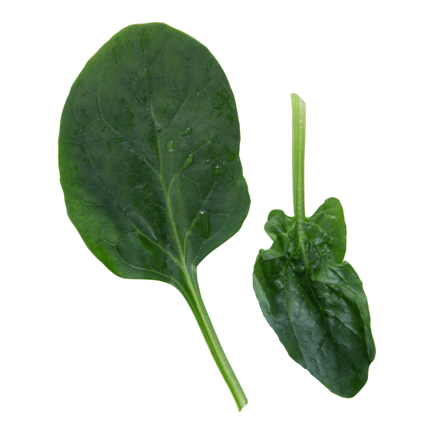 Spinach