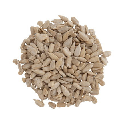 Sunflower Seeds Image