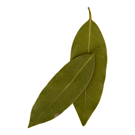 Bay Leaf Image