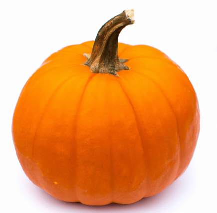 Pumpkin Image