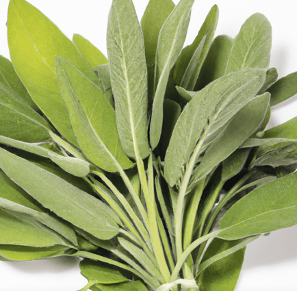 Sage Image