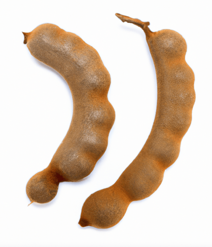 Tamarind Image