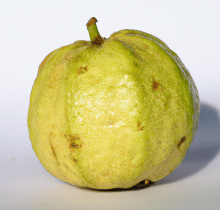 Guava Image